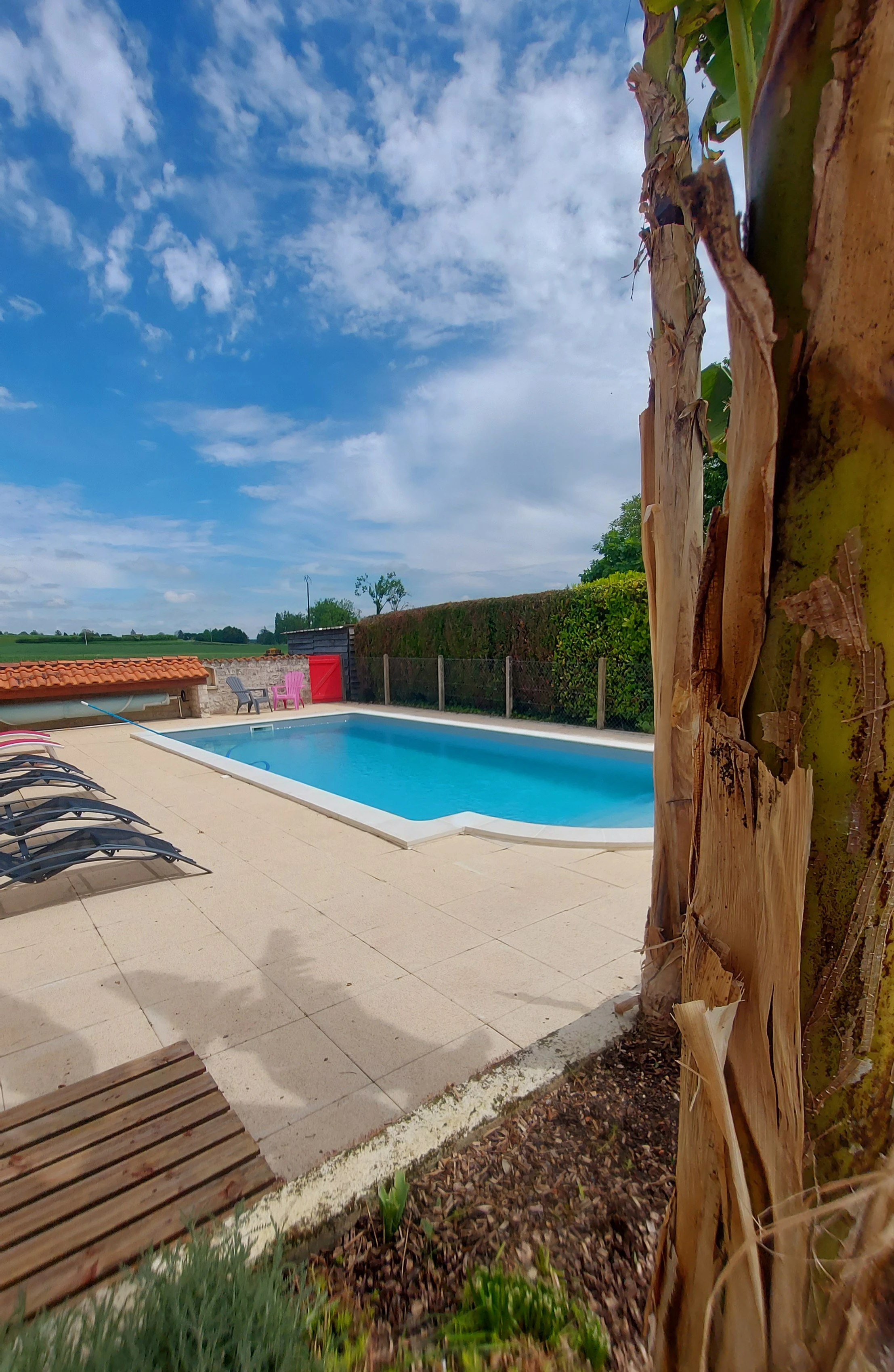 piscine les roses de jonzac