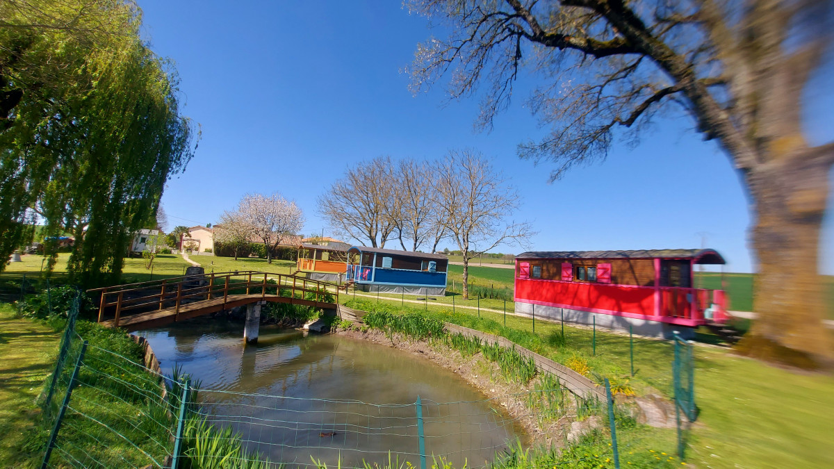 parc des roses de jonzac à mortiers