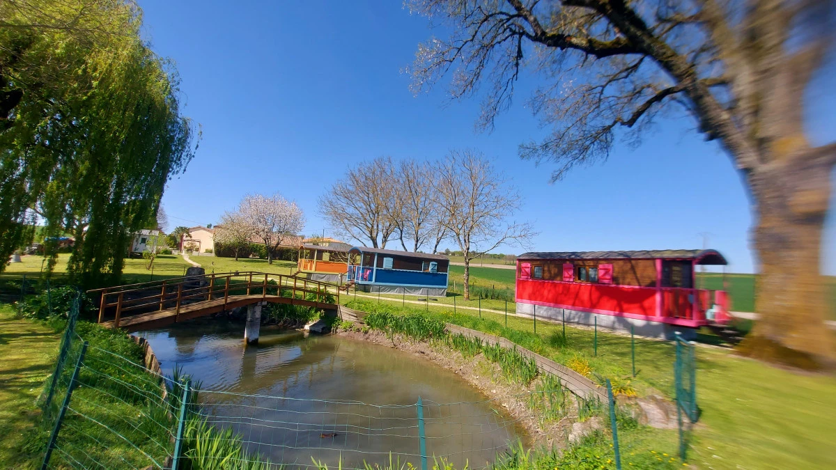 parc des roses de jonzac à mortiers